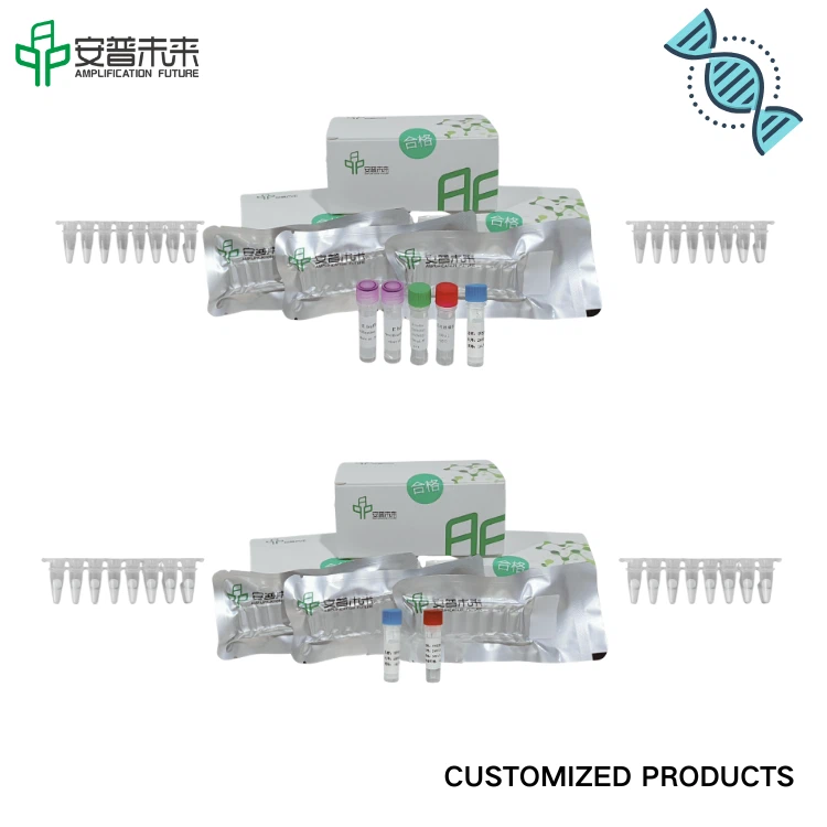 MIRA Group B Streptococcus Fluorescence Detection Kit Research Use Only
