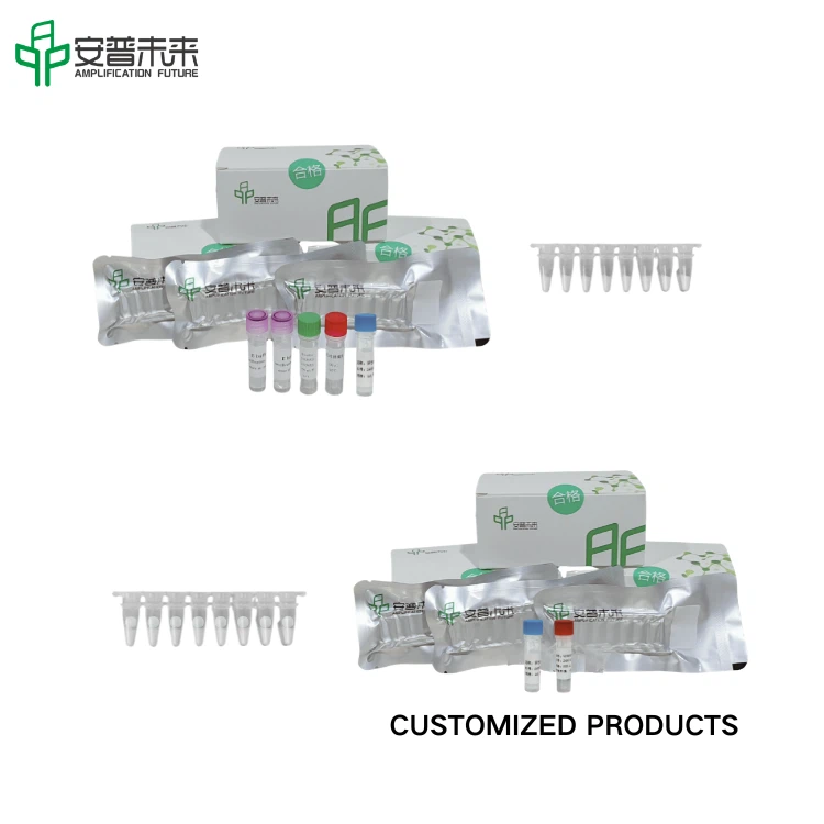 MIRA Influenza B Virus Nucleic Acid Test Strip Detection Kit Research Use Only