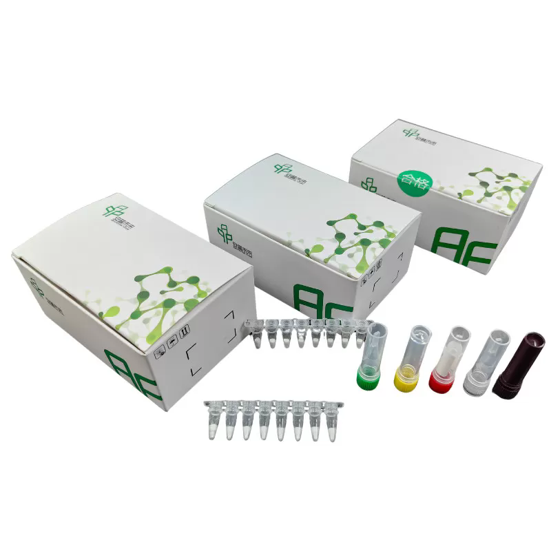 MIRA Respiratory Syncytial Virus Type A/B Fluorescence Detection Kit Research Use Only