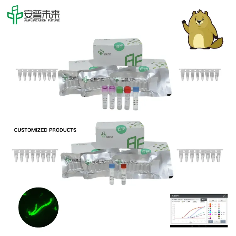 MIRA Yersinia Pestis Caf1 Gene Fluorescence Detection Kit Research Use Only MIRA Yersinia Pestis Caf1 Gene Fluorescence Detection Kit Research Use Only