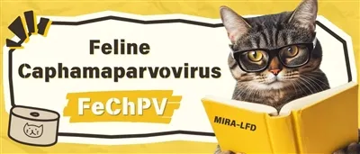 Article Sharing丨MIRA-LFD Detects Pet Diseases in 20 Minutes