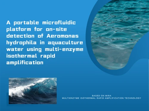 A Portable Microfluidic Platform For On-site Detection Of Aeromonas Hydrophil...