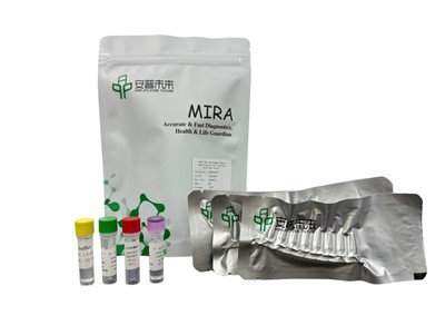 MIRA Infectious Hypodermal and Hematopoietic Necrosis Virus Fluorescence Detection Kit